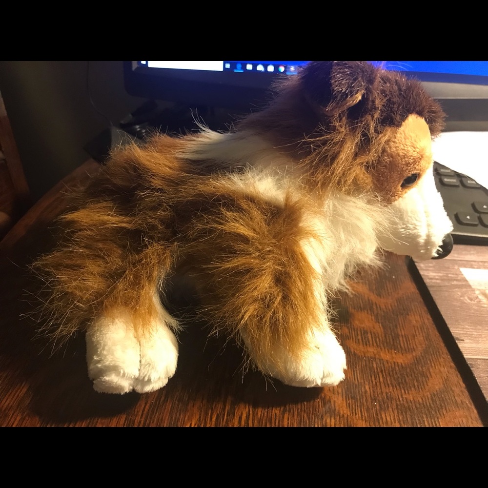 Webkinz collie